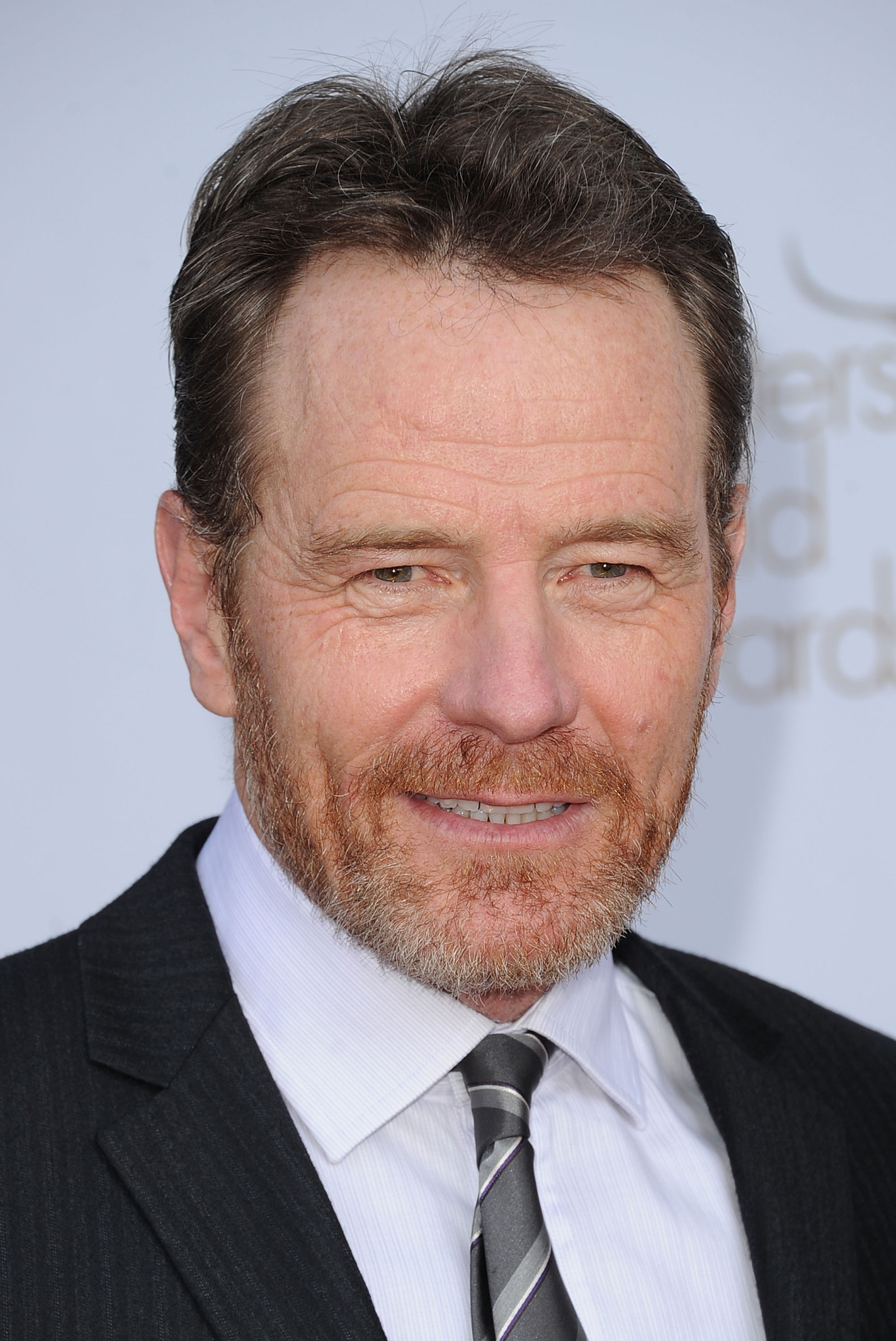 Bryan Cranston as Walter White